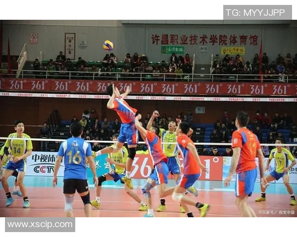 南京排球队在洲际杯中的默契配合展现出团队实力与竞技精神