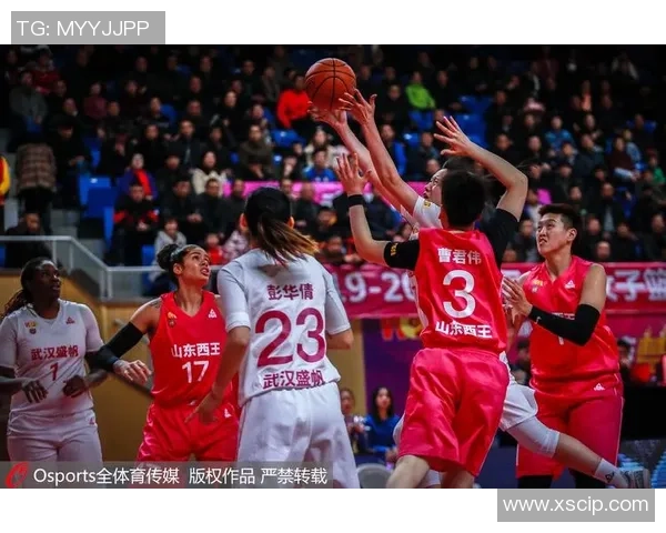 武汉篮球队区域防守革新之路：战术创新与球队崛起的深度解析