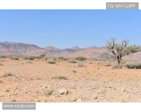 非洲足球明星回馈家乡助力发展改变命运的故事