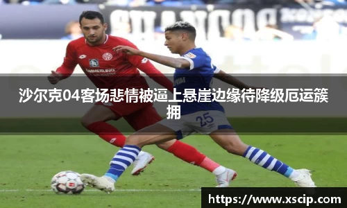 JJB竞技宝官网