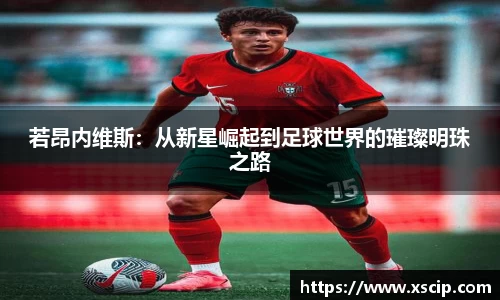 JJB竞技宝官网