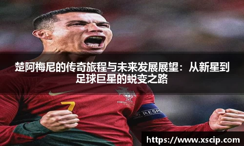 JJB竞技宝官网